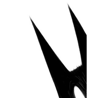 Le loup dans la lune